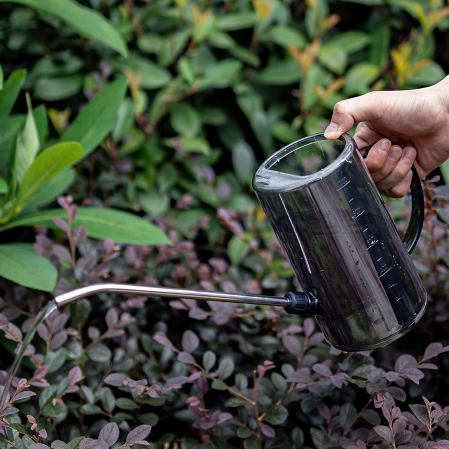 1L Watering Can PP Fully Transparent Indoor Plants Watering Can with Long Spout for Garden Starry Gray V1294-YM0523-3111220119112