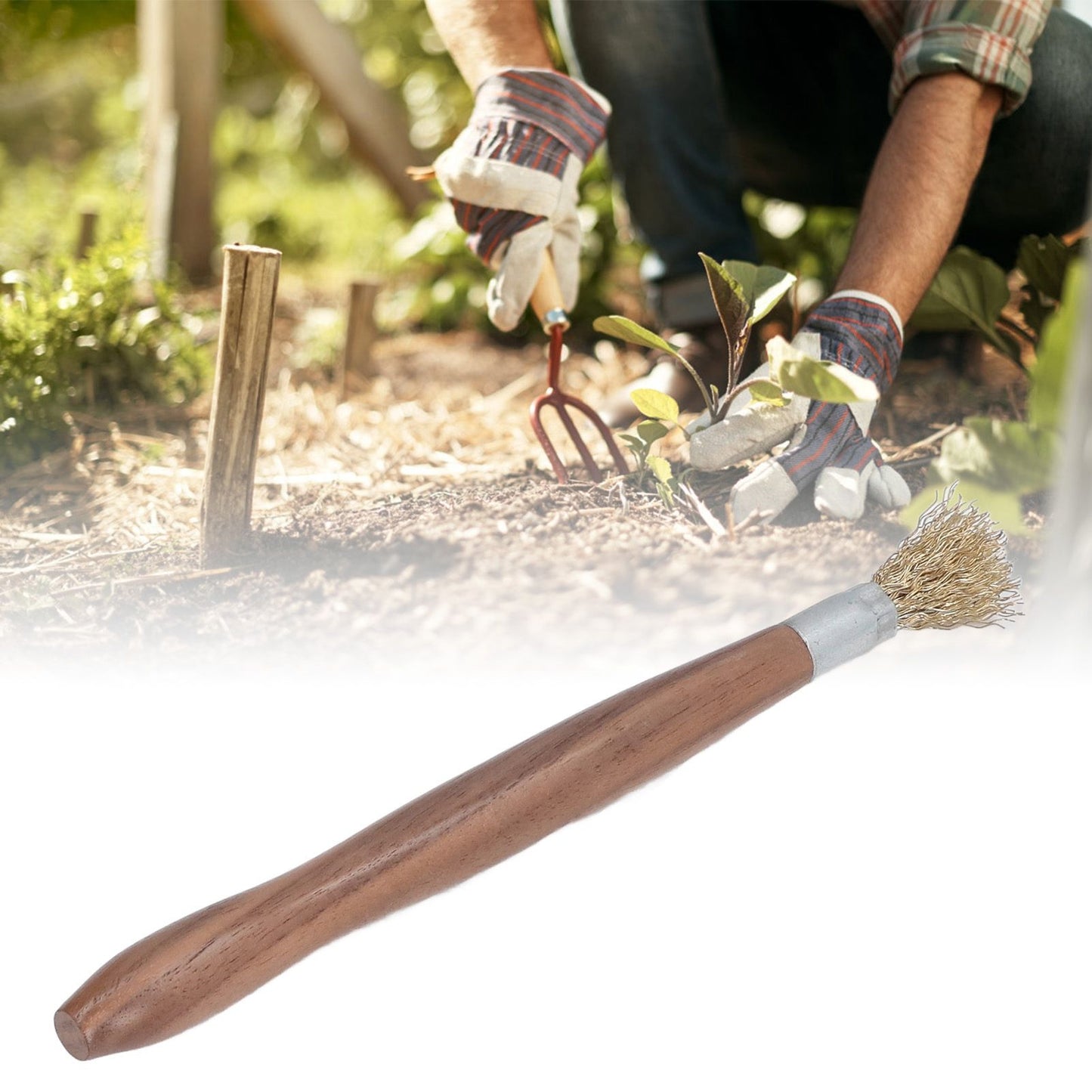 Steel Wire Brush Wearable Rust Proof Wood Handle Professional Bonsai Cleaning Tool for Potted Plants V1294-YM0523-3111220124111