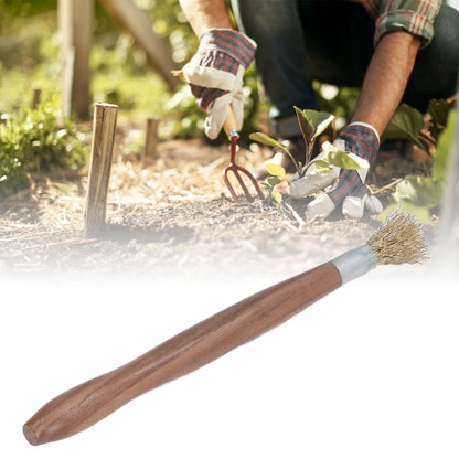 Steel Wire Brush Wearable Rust Proof Wood Handle Professional Bonsai Cleaning Tool for Potted Plants V1294-YM0523-3111220124111