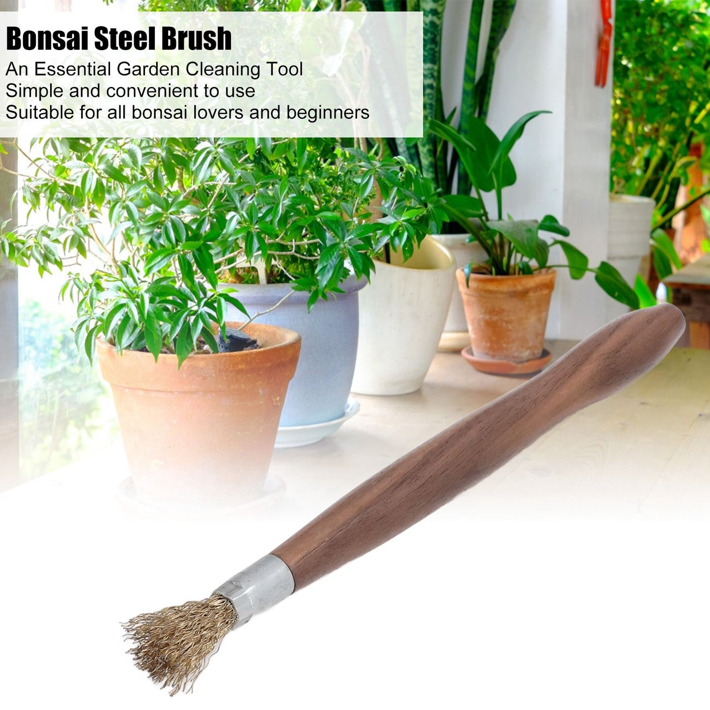 Steel Wire Brush Wearable Rust Proof Wood Handle Professional Bonsai Cleaning Tool for Potted Plants V1294-YM0523-3111220124111