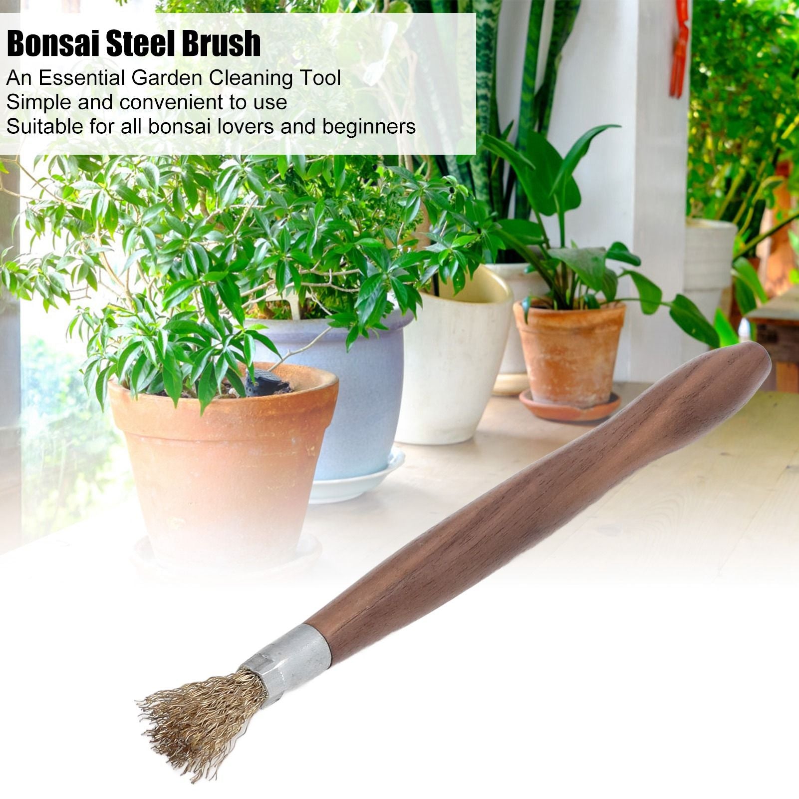 Steel Wire Brush Wearable Rust Proof Wood Handle Professional Bonsai Cleaning Tool for Potted Plants V1294-YM0523-3111220124111