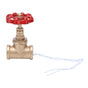 G1/2 Industrial Light Switch Water Pipe Light Switch Steampunk Lamp Switch with Wire 12V/120V V1294-YM0523-3113210254911
