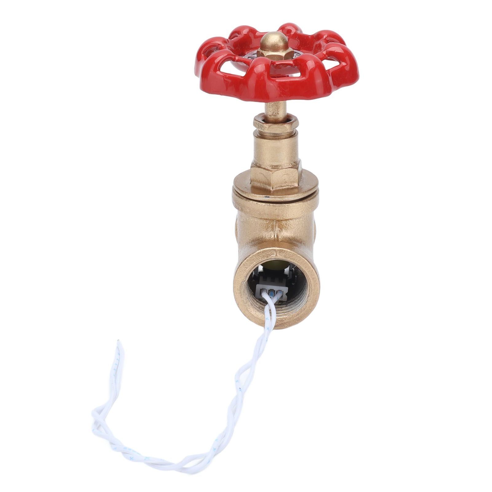 G1/2 Industrial Light Switch Water Pipe Light Switch Steampunk Lamp Switch with Wire 12V/120V V1294-YM0523-3113210254911