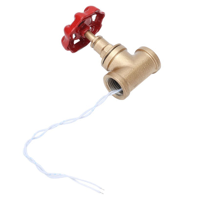 G1/2 Industrial Light Switch Water Pipe Light Switch Steampunk Lamp Switch with Wire 12V/120V V1294-YM0523-3113210254911