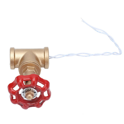 G1/2 Industrial Light Switch Water Pipe Light Switch Steampunk Lamp Switch with Wire 12V/120V V1294-YM0523-3113210254911