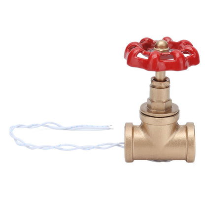G1/2 Industrial Light Switch Water Pipe Light Switch Steampunk Lamp Switch with Wire 12V/120V V1294-YM0523-3113210254911