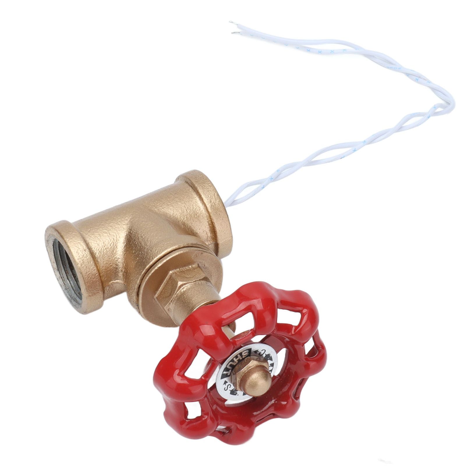 G1/2 Industrial Light Switch Water Pipe Light Switch Steampunk Lamp Switch with Wire 12V/120V V1294-YM0523-3113210254911