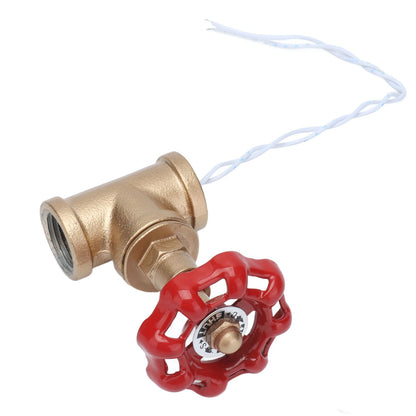 G1/2 Industrial Light Switch Water Pipe Light Switch Steampunk Lamp Switch with Wire 12V/120V V1294-YM0523-3113210254911
