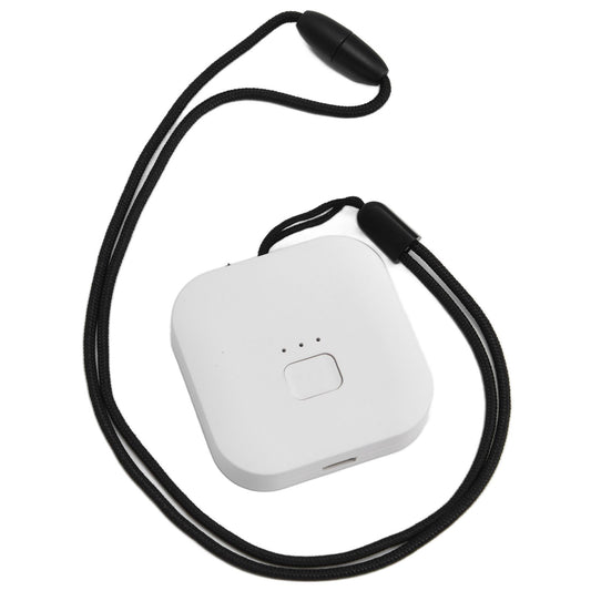 Air Humidifier 1000W Negative Ion Portable Wearable Double Head Carbon Brush Air Freshener with USB CableWhite V1294-YM0523-3113210267212