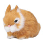 Miniature Plush Rabbits Plastic Plush Material Soft Comfortable Durable Rabbits Stuffed Doll for Table V1294-YM0523-3115220002012