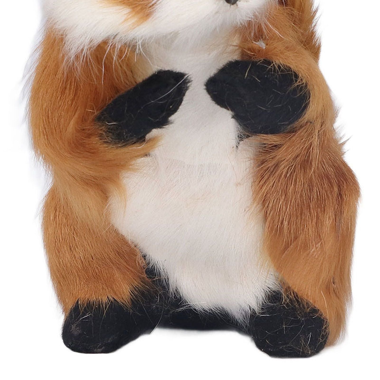 Simulation Squirrel Large Cute Lifelike Simulation Squirrel Crafts Decorations Garden Ornament V1294-YM0523-3115220002311