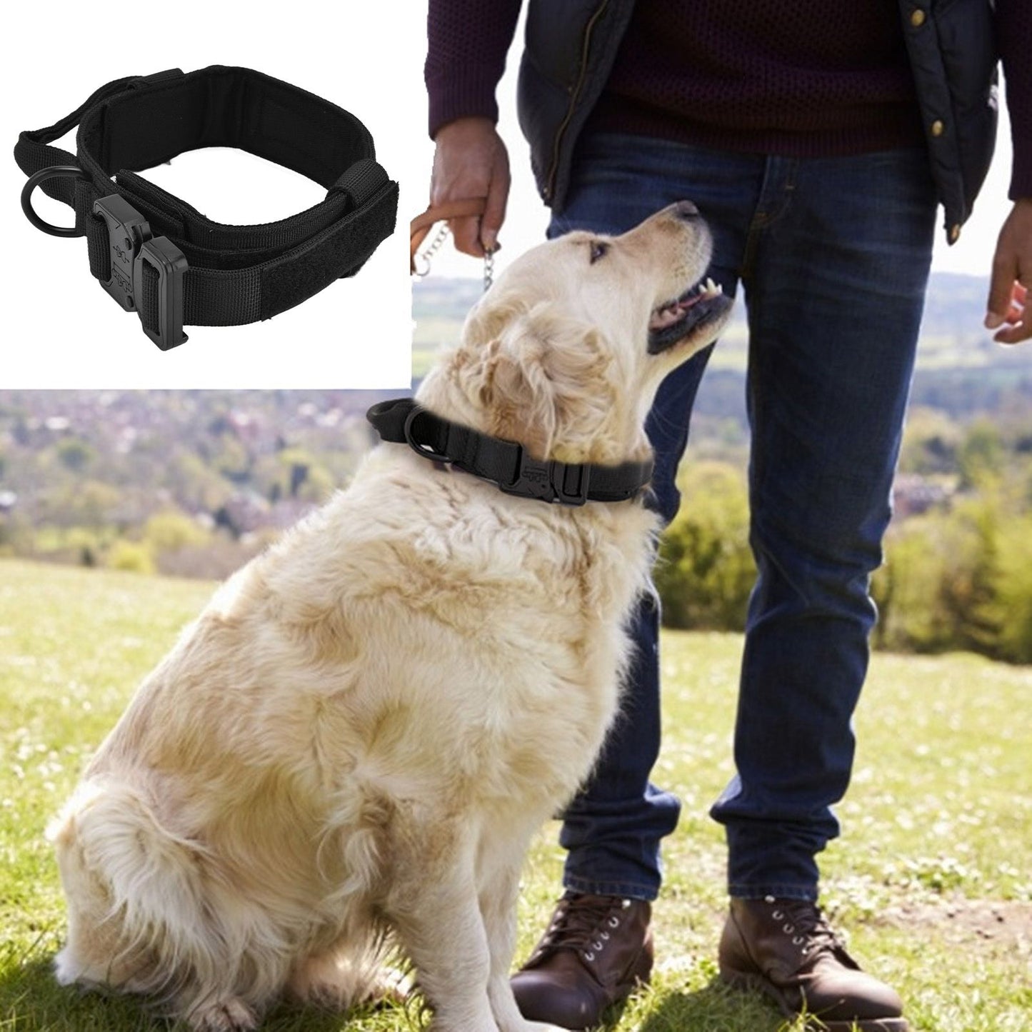 Traction Dog Collar with Buckle Nylon Iron Training Hunting Collar Pet Accessory for OutdoorBlack XL V1294-YM0523-3117210197413