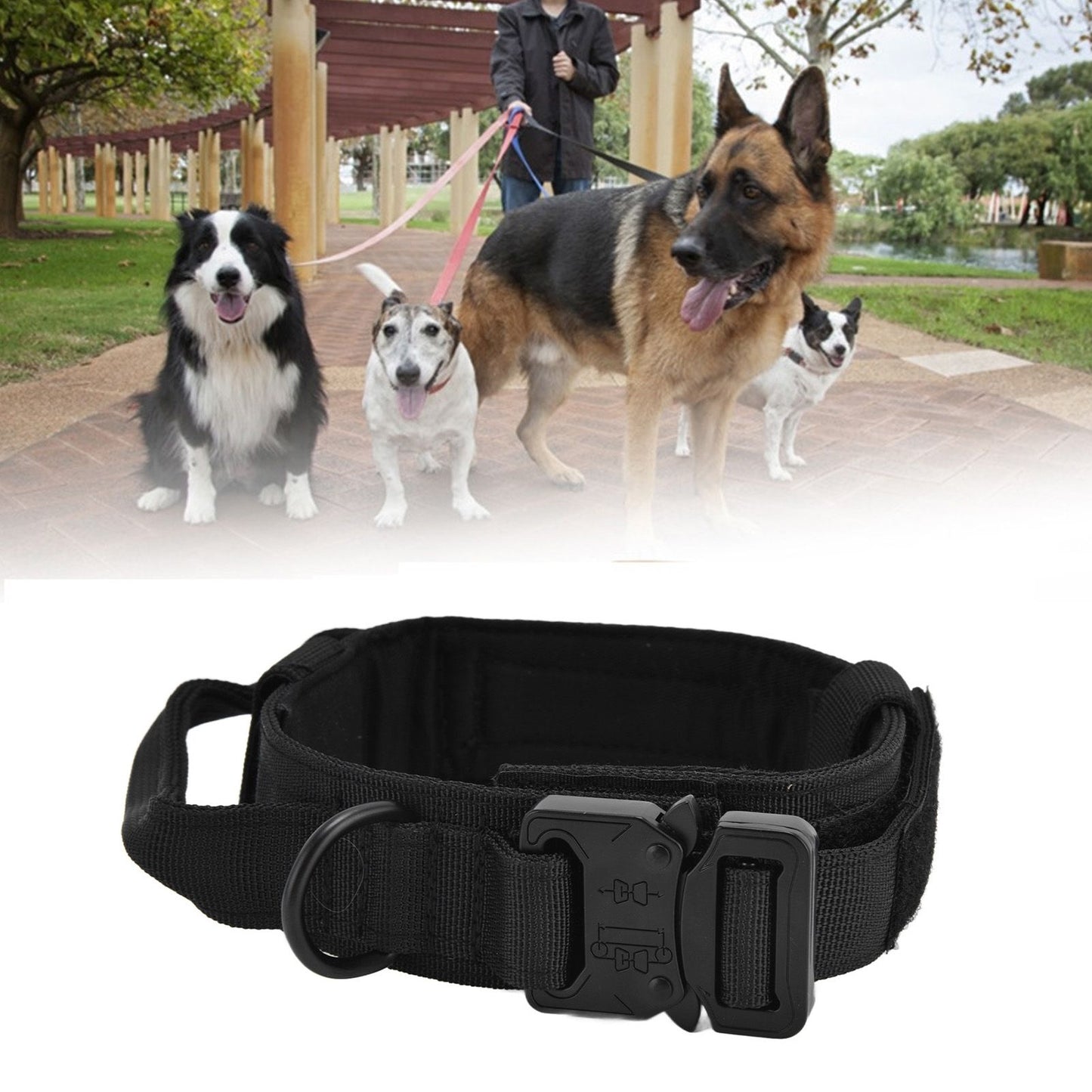 Traction Dog Collar with Buckle Nylon Iron Training Hunting Collar Pet Accessory for OutdoorBlack XL V1294-YM0523-3117210197413