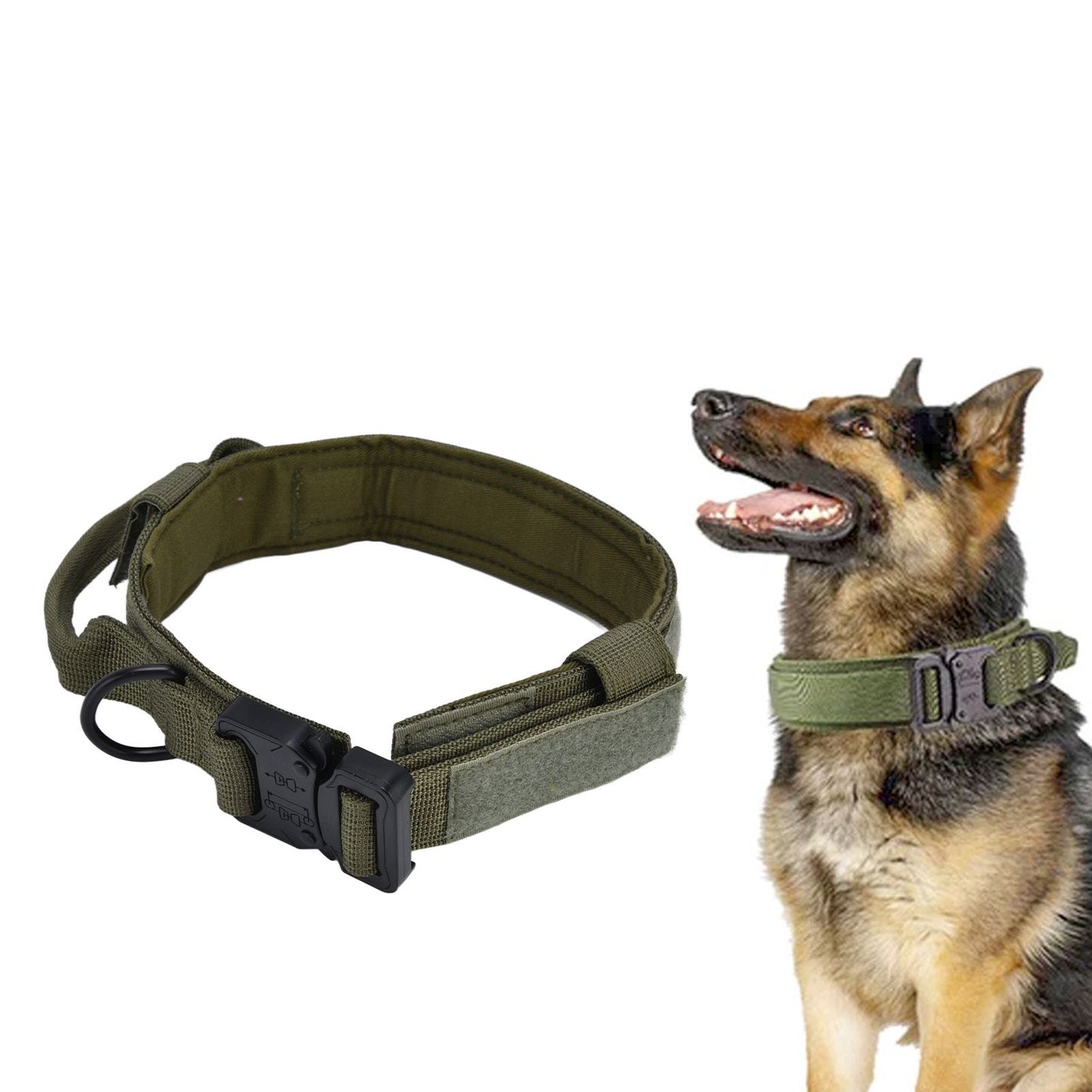 Traction Dog Collar with Buckle Nylon Iron Training Hunting Collar Pet Accessory for OutdoorGreen M V1294-YM0523-3117210197414
