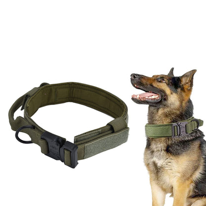 Traction Dog Collar with Buckle Nylon Iron Training Hunting Collar Pet Accessory for OutdoorGreen M V1294-YM0523-3117210197414