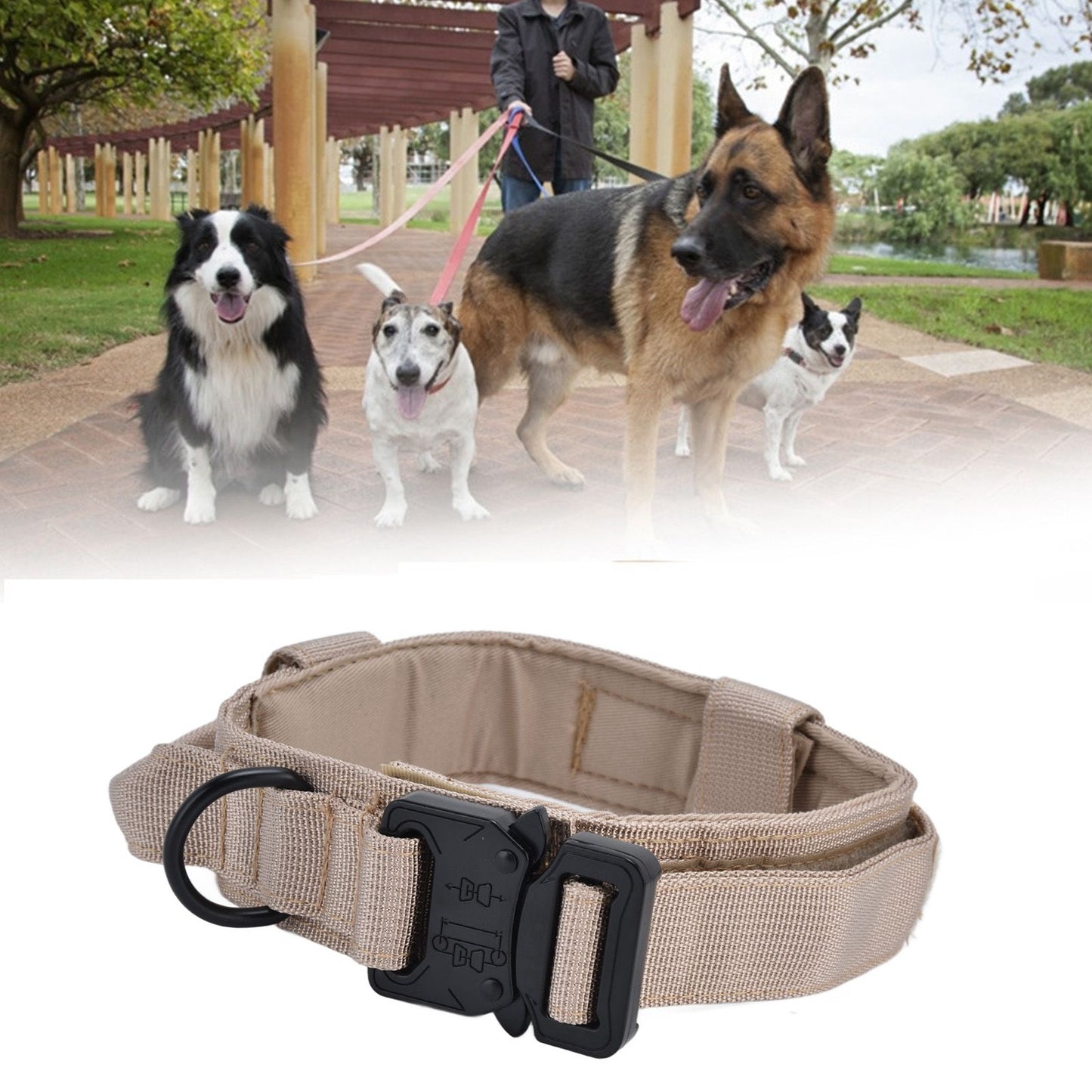 Traction Dog Collar with Buckle Nylon Iron Training Hunting Collar Pet Accessory for OutdoorKhaki XL V1294-YM0523-3117210197419