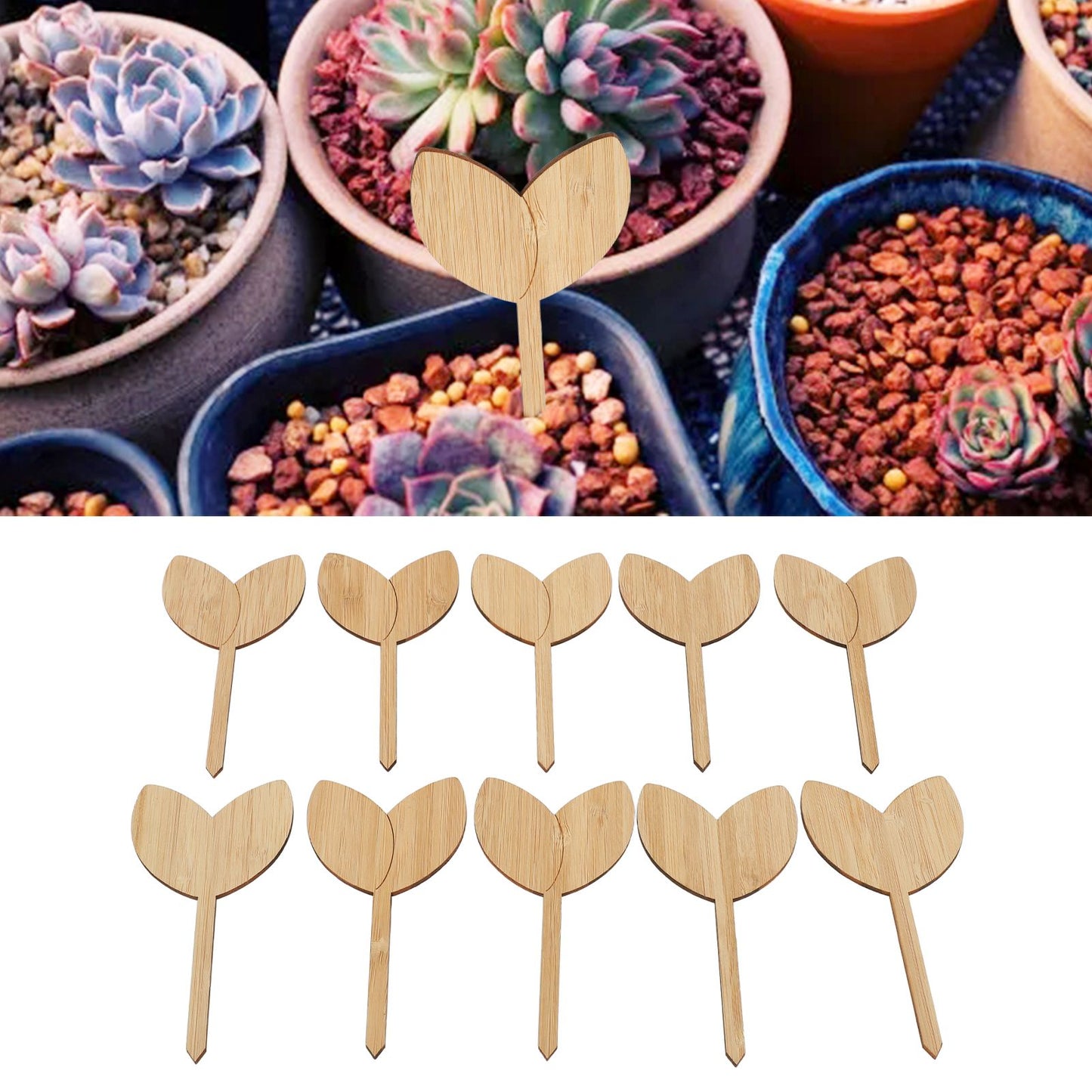 10pcs Plant Labels Bamboo Material Easy Writing 1/8 in Thickness Decorative Garden Markers for GardenerLeaf V1294-YM0523-3117220027111