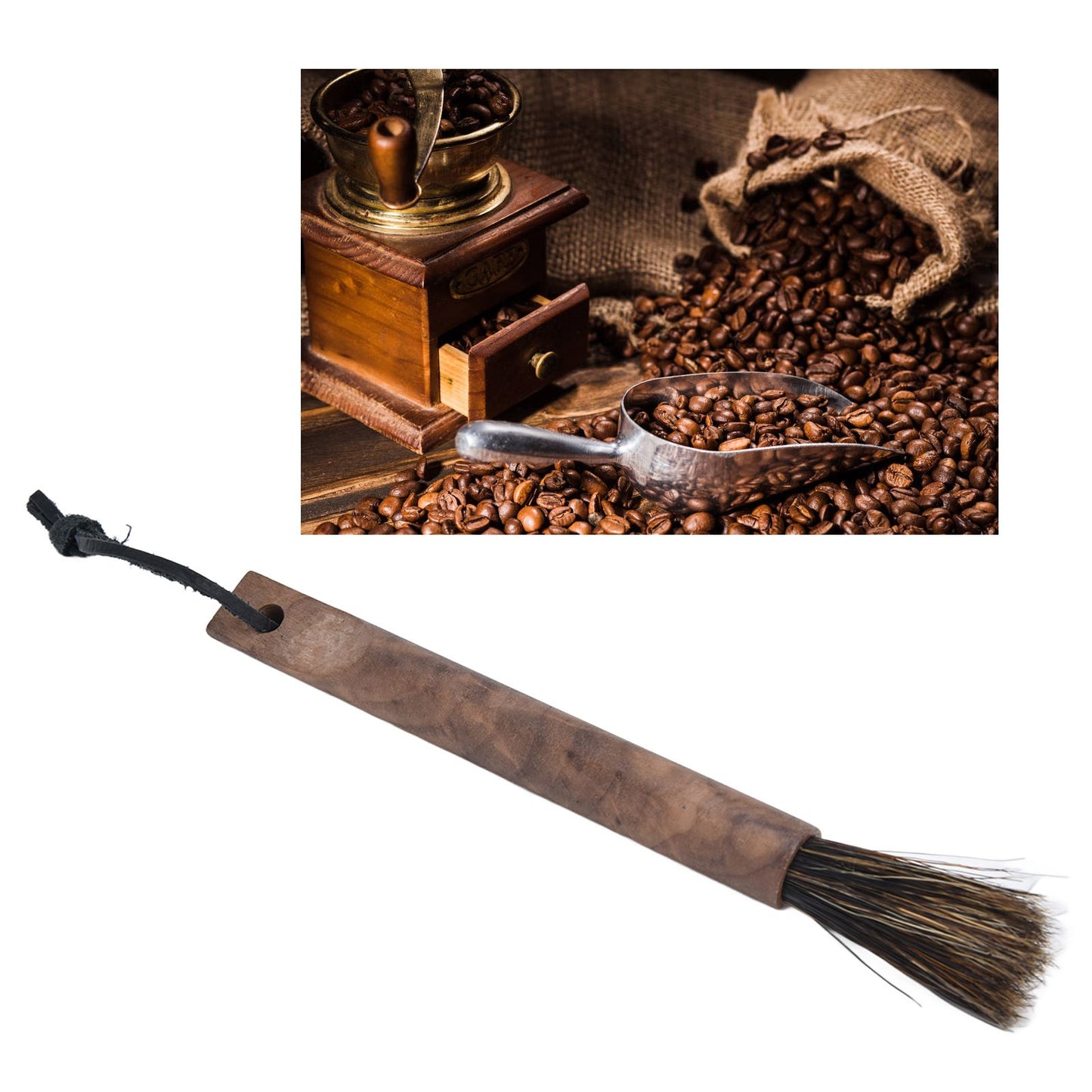 Coffee Grinder Cleaning Brush Wood Handle Natural Bristles Coffee Grinder Brush for Home Kitchen V1294-YM0523-3118210304911