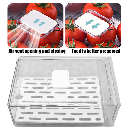 Refrigerator Storage Box Holder with Draining Plate Fruit Storage Container Preservation BoxL 11x20x30cm / V1294-YM0523-3118220040111