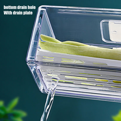 Refrigerator Storage Box Holder with Draining Plate Fruit Storage Container Preservation BoxL 11x20x30cm / V1294-YM0523-3118220040111