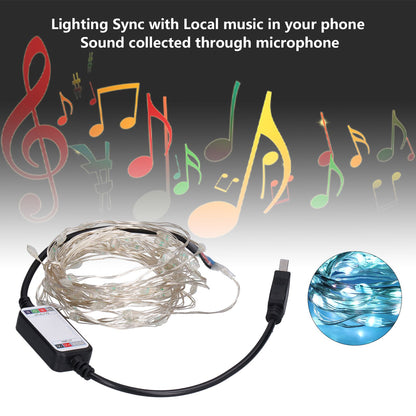 String Lights USB LED Colorful RGB Waterproof Copper Wire Music Light String Christmas Decoration Light5m 50 V1294-YM0523-3119210265211