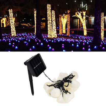 Solar Light String Waterproof Outdoor Garden Landscape Light 20LEDs 8 Lighting ModesColorful Light V1294-YM0523-3119210272112