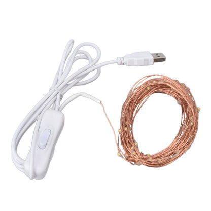 USB Copper Wire String Lights DIY 100 LEDs 10m/32.8ft Energy Saving Safe Warm Light LED Light String for V1294-YM0523-3119220048411
