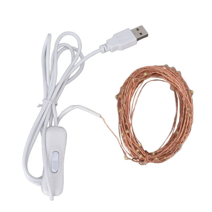 USB Copper Wire String Lights DIY 100 LEDs 10m/32.8ft Energy Saving Safe Warm Light LED Light String for V1294-YM0523-3119220048411