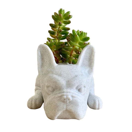 Puppy Pot Decoration Resin Pot Dog Flower Plant Pot V1294-YM221007CS01-0421