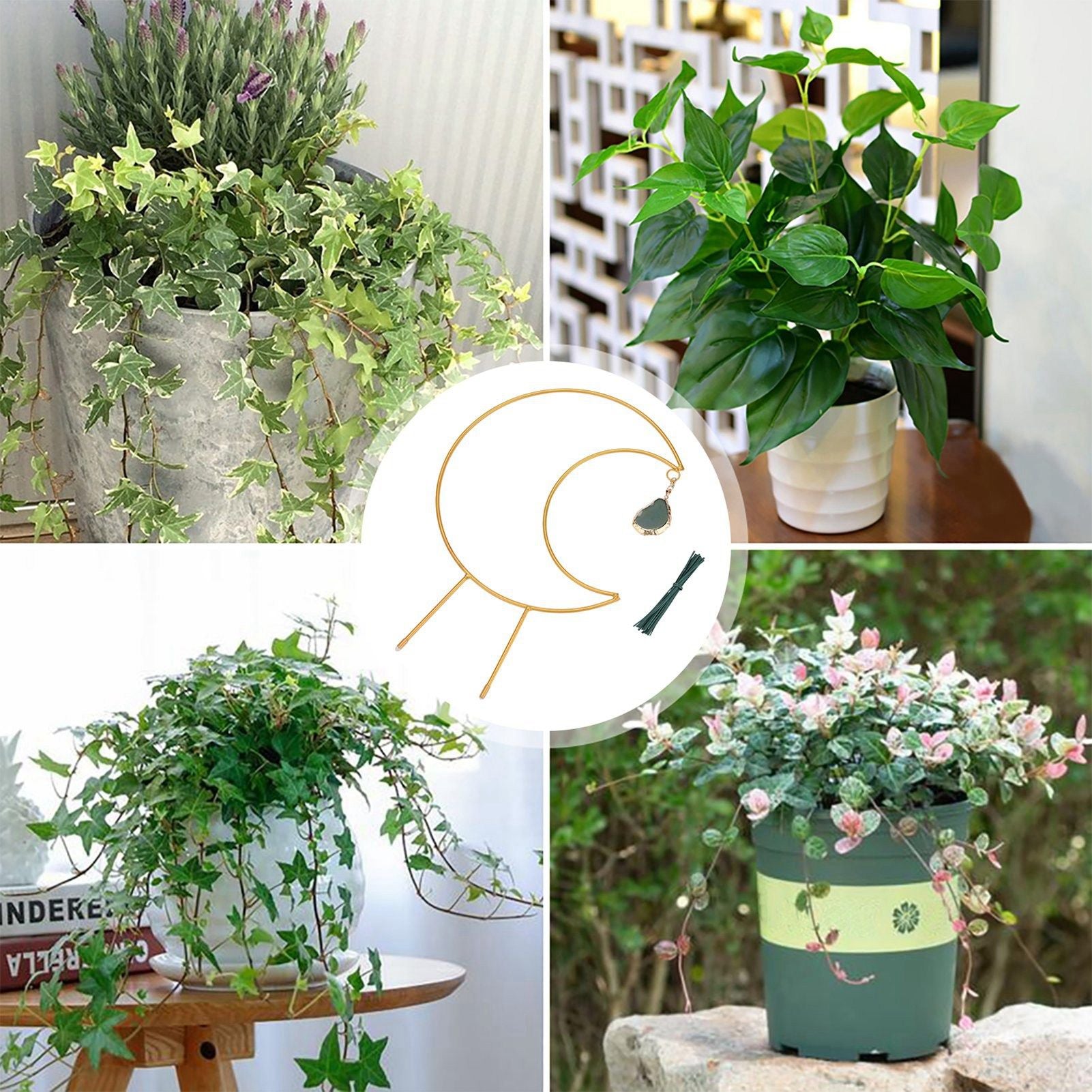 Plant Climbing Frame Climbing Vine Iron Flower Frame Moon Bracket Plant Trellis V1294-YM221027TW02-0421