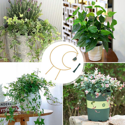 Plant Climbing Frame Climbing Vine Iron Flower Frame Moon Bracket Plant Trellis V1294-YM221027TW02-0421