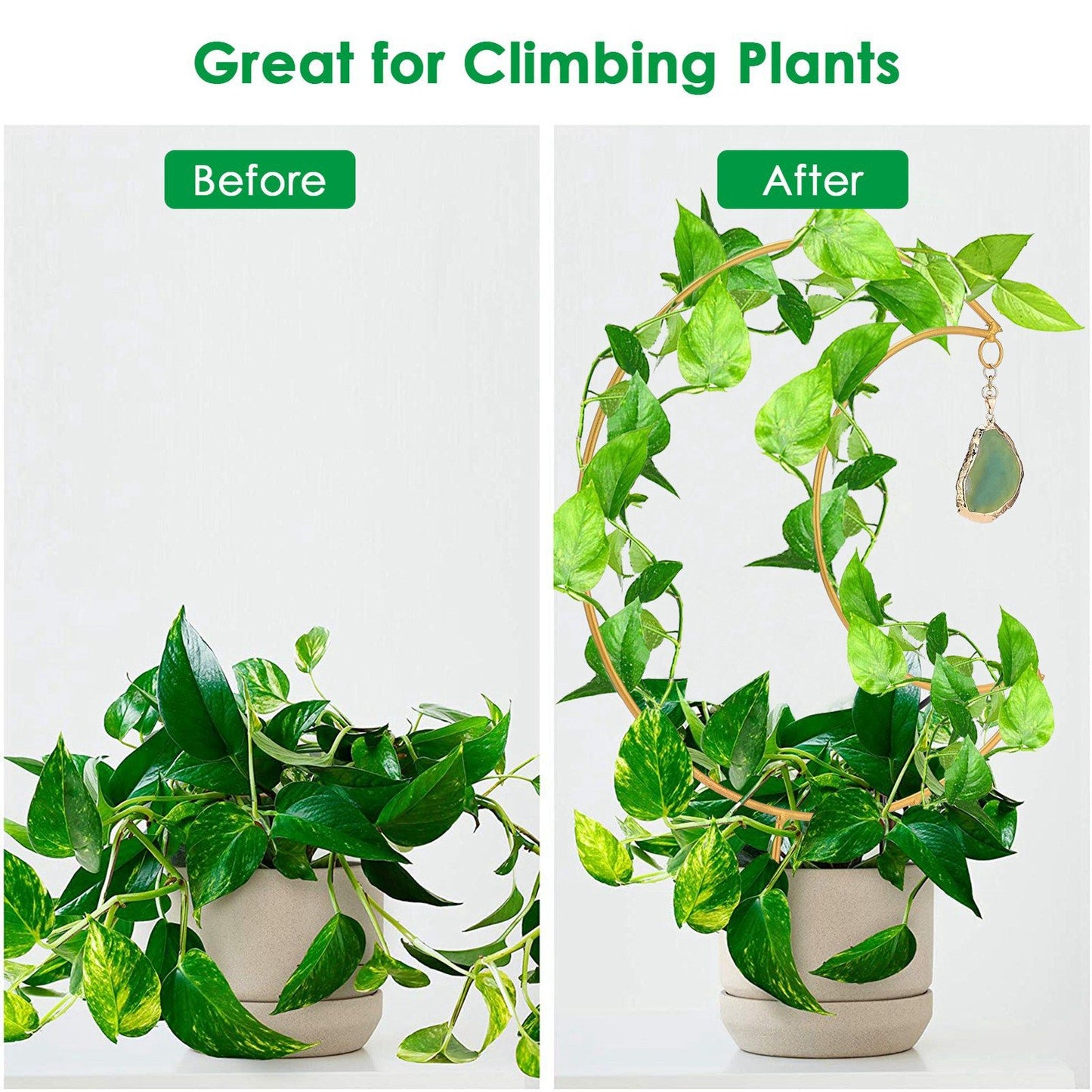 Plant Climbing Frame Climbing Vine Iron Flower Frame Moon Bracket Plant Trellis V1294-YM221027TW02-0421