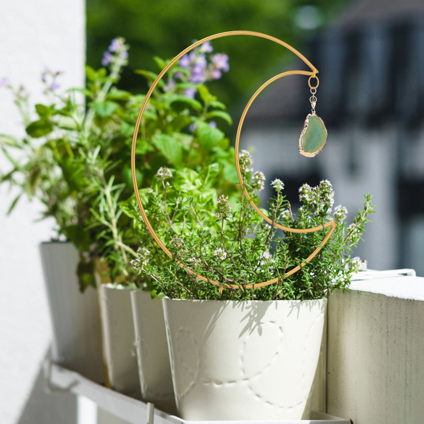 Plant Climbing Frame Climbing Vine Iron Flower Frame Moon Bracket Plant Trellis V1294-YM221027TW02-0421