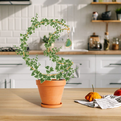 Plant Climbing Frame Climbing Vine Iron Flower Frame Moon Bracket Plant Trellis V1294-YM221027TW02-0421