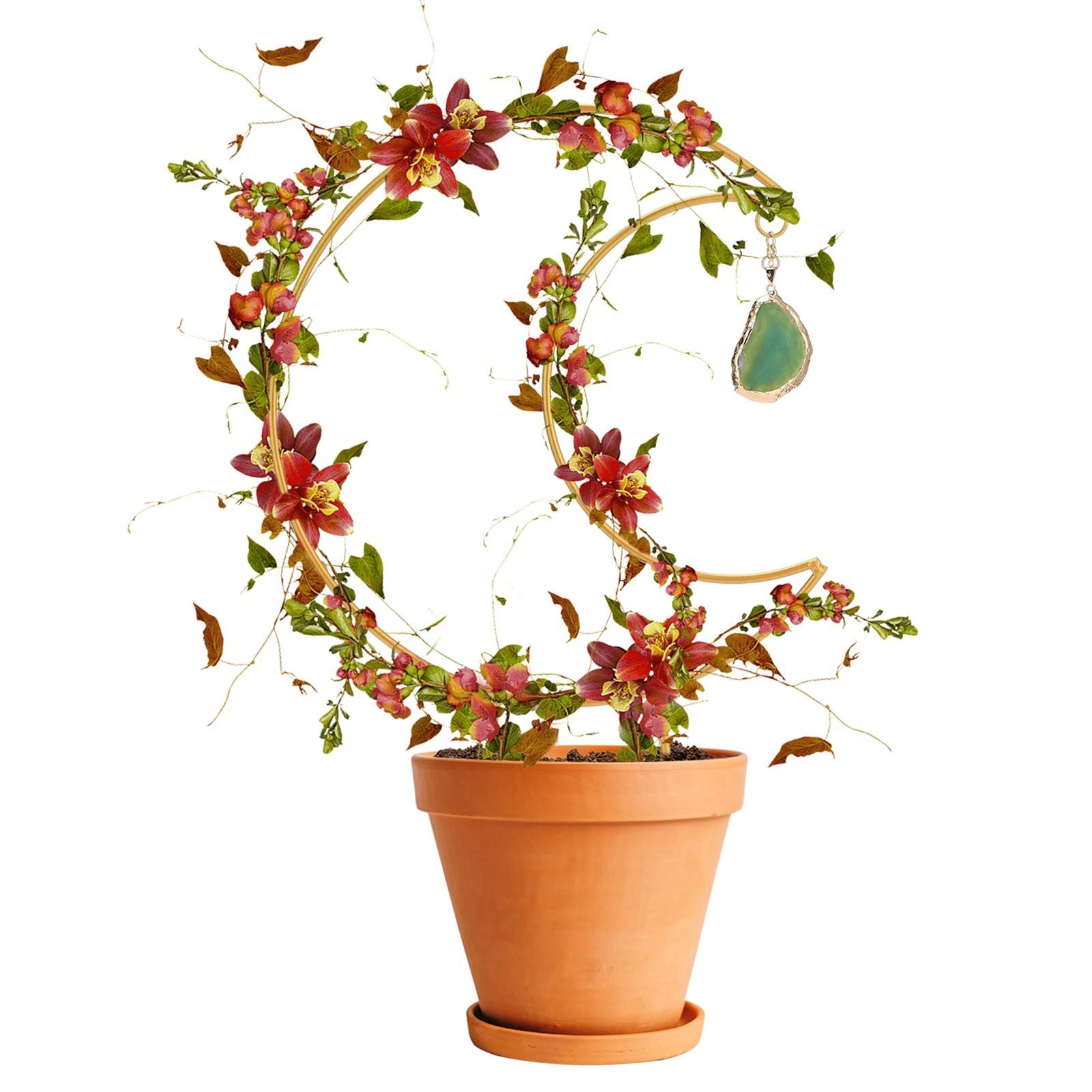 Plant Climbing Frame Climbing Vine Iron Flower Frame Moon Bracket Plant Trellis V1294-YM221027TW02-0421