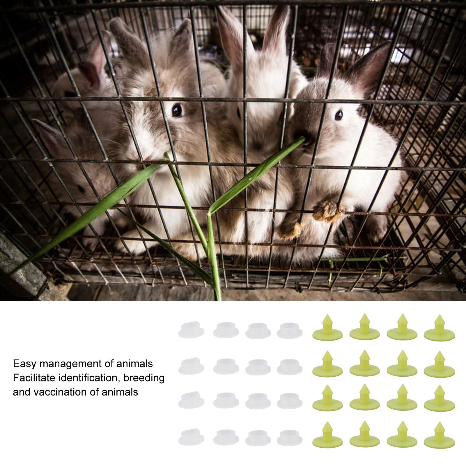 100PCS Livestock Ear Tag Bright Yellow PP Fadeless Reusable Universal Animal Ear Tag for Rabbit V1294-YM3111220265511-0421