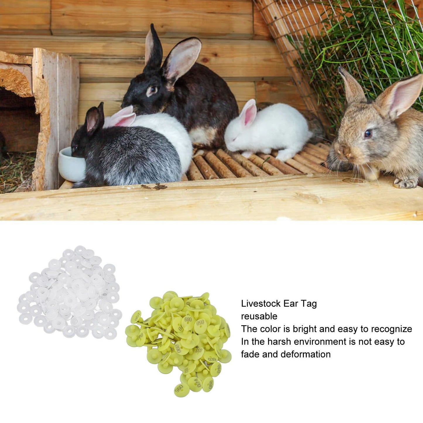 100PCS Livestock Ear Tag Bright Yellow PP Fadeless Reusable Universal Animal Ear Tag for Rabbit V1294-YM3111220265511-0421