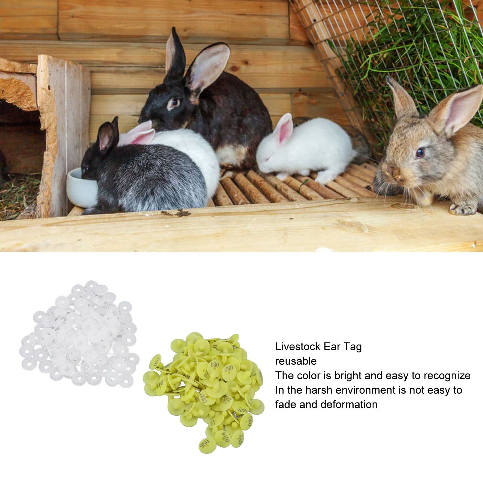 100PCS Livestock Ear Tag Bright Yellow PP Fadeless Reusable Universal Animal Ear Tag for Rabbit V1294-YM3111220265511-0421