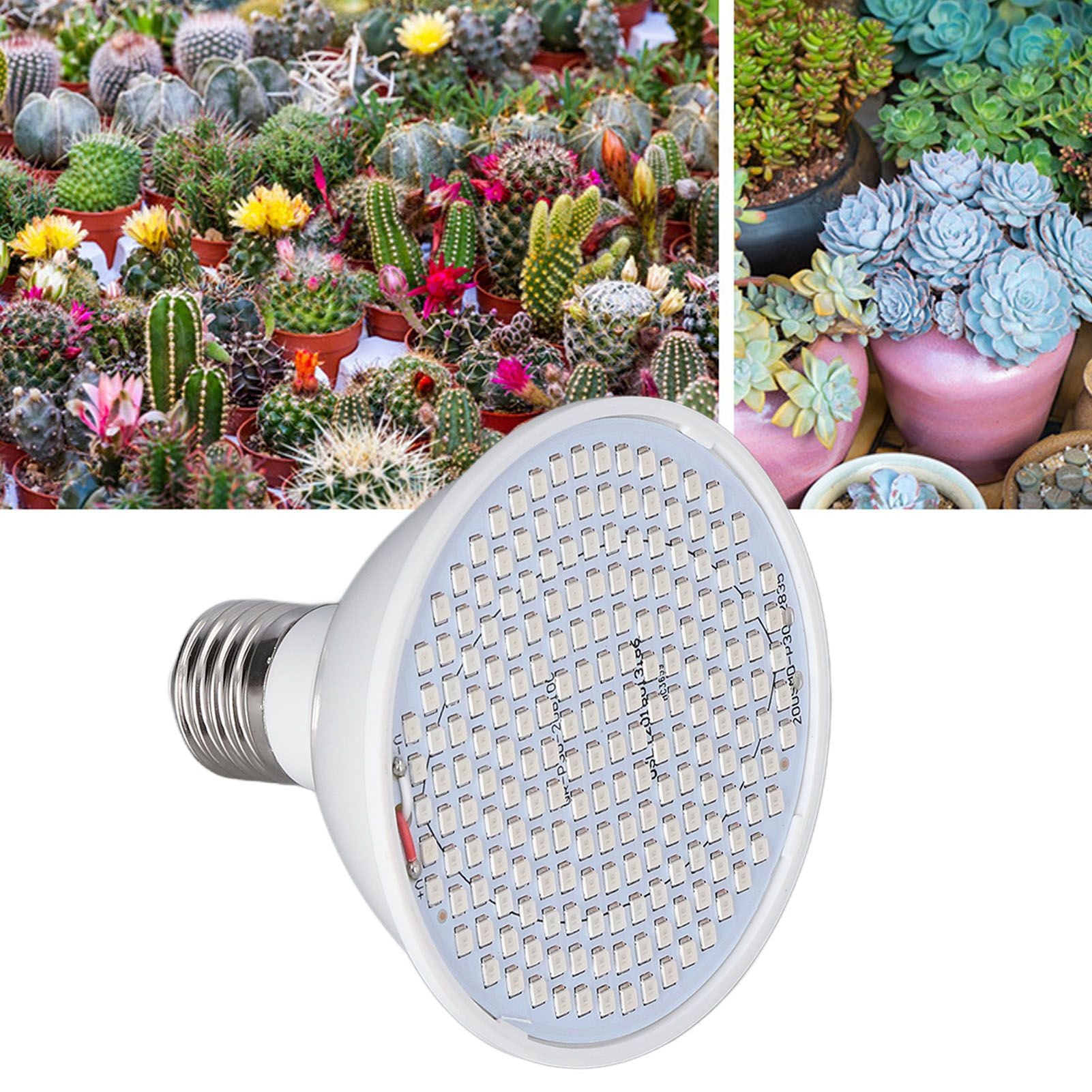 Plant Light E27 Bulb Red Blue Light E27 LED Grow Bulb for Indoor Seedlings 85-265V E27 200 V1294-YM3111220266511-0421
