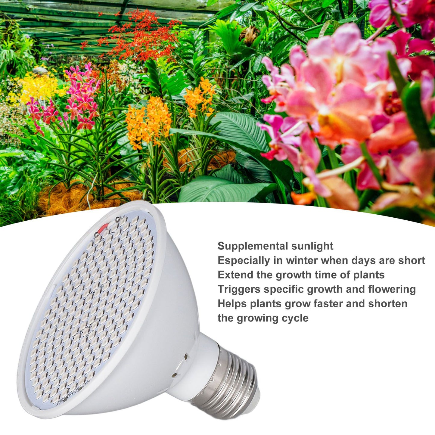 Plant Light E27 Bulb Red Blue Light E27 LED Grow Bulb for Indoor Seedlings 85-265V E27 200 V1294-YM3111220266511-0421