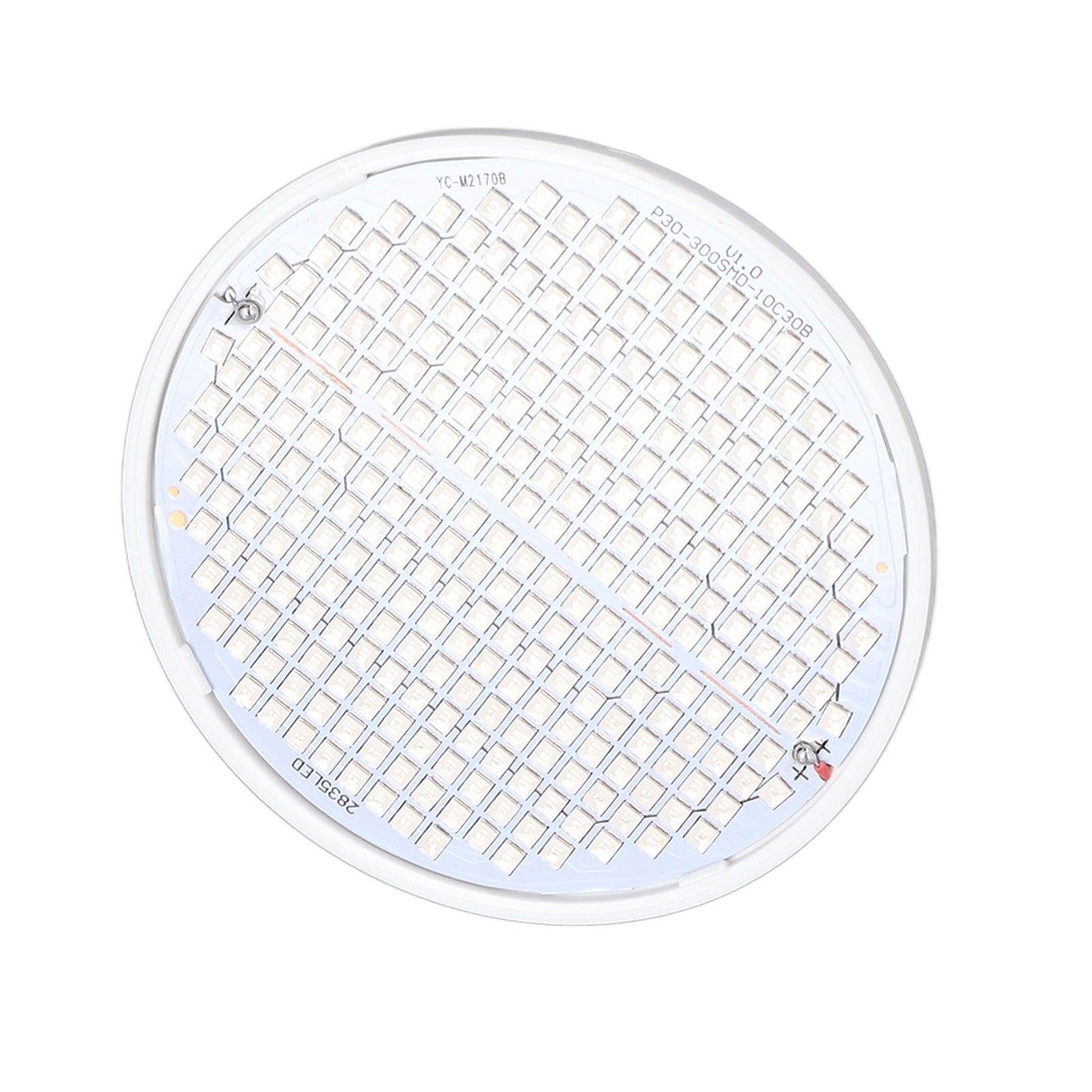 Plant Light E27 Bulb Red Blue Light E27 LED Grow Bulb for Indoor Seedlings 85-265V E27 300 V1294-YM3111220266512-0421