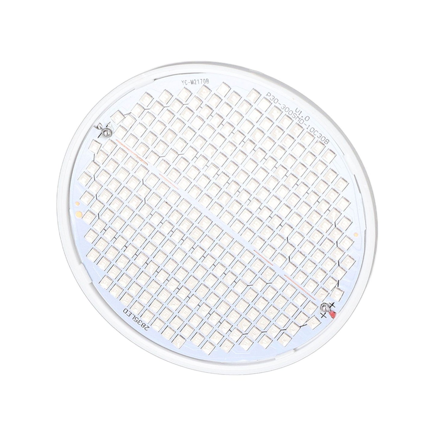 Plant Light E27 Bulb Red Blue Light E27 LED Grow Bulb for Indoor Seedlings 85-265V E27 300 V1294-YM3111220266512-0421