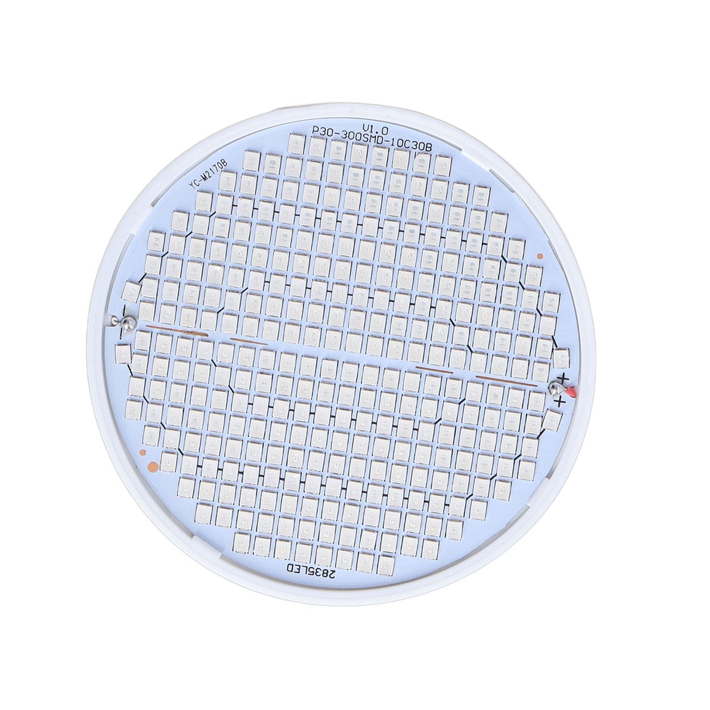 Plant Light E27 Bulb Red Blue Light E27 LED Grow Bulb for Indoor Seedlings 85-265V E27 300 V1294-YM3111220266512-0421