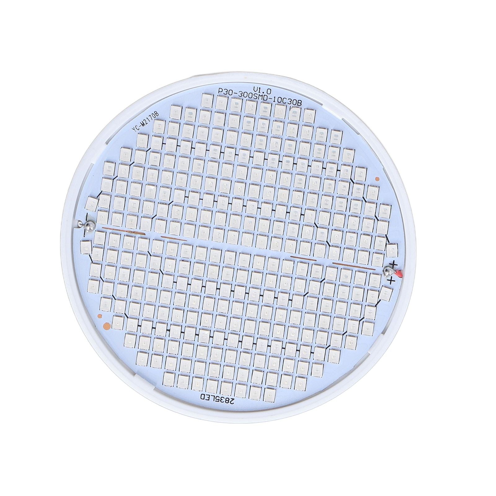 Plant Light E27 Bulb Red Blue Light E27 LED Grow Bulb for Indoor Seedlings 85-265V E27 300 V1294-YM3111220266512-0421