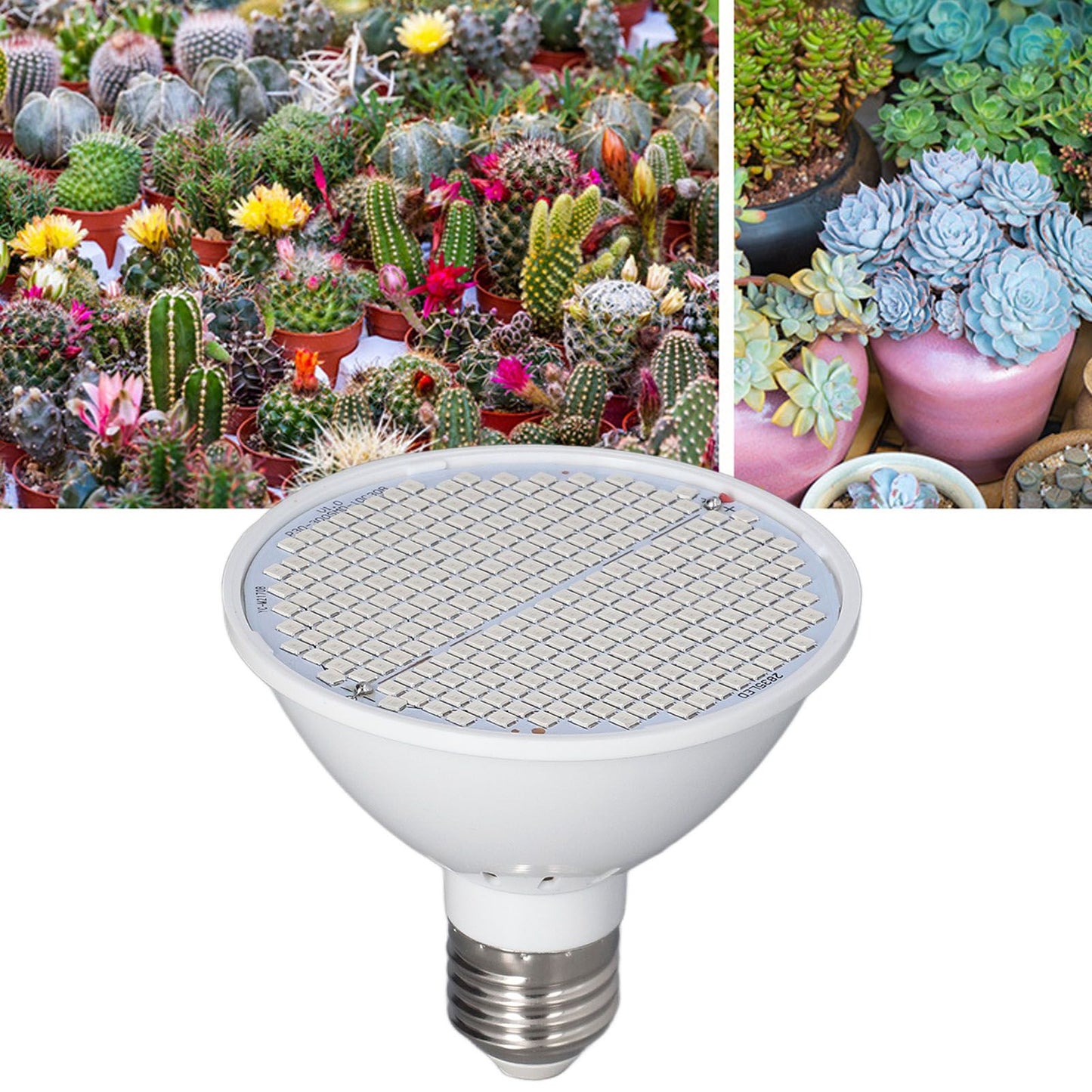 Plant Light E27 Bulb Red Blue Light E27 LED Grow Bulb for Indoor Seedlings 85-265V E27 300 V1294-YM3111220266512-0421