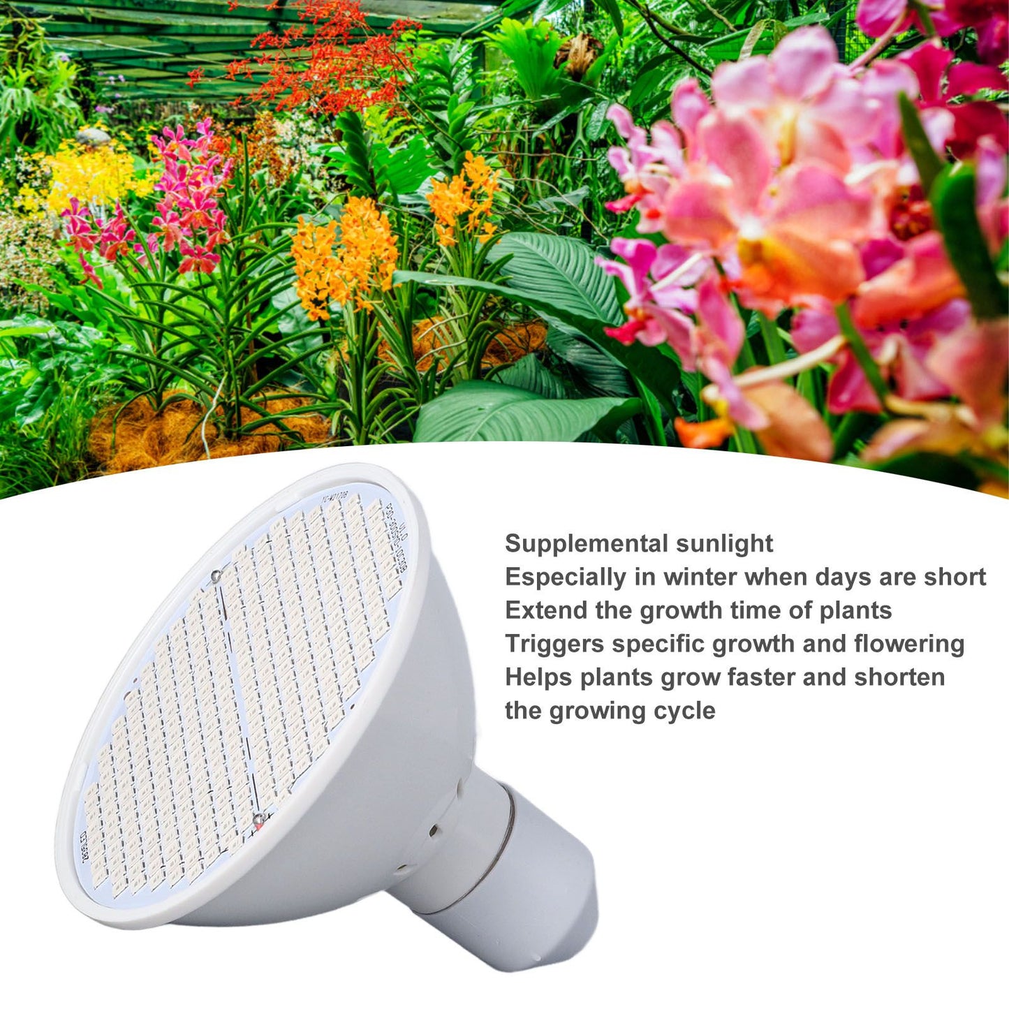 Plant Light E27 Bulb Red Blue Light E27 LED Grow Bulb for Indoor Seedlings 85-265V E27 300 V1294-YM3111220266512-0421