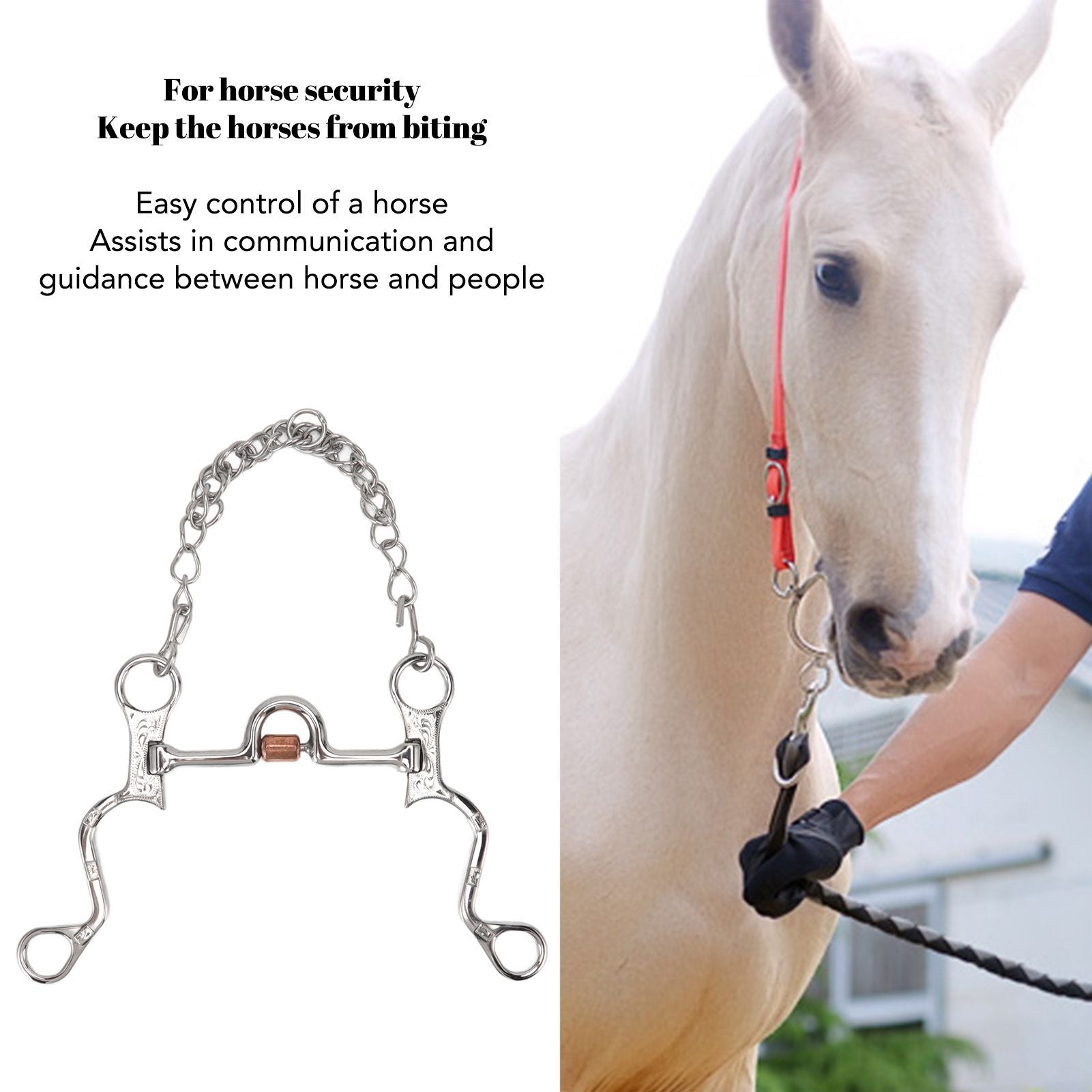 120mm Horse Mouth Snaffle with Chain Stainless Steel Horse Bit for Equestrian Training Equipment V1294-YM3111220273811-0421
