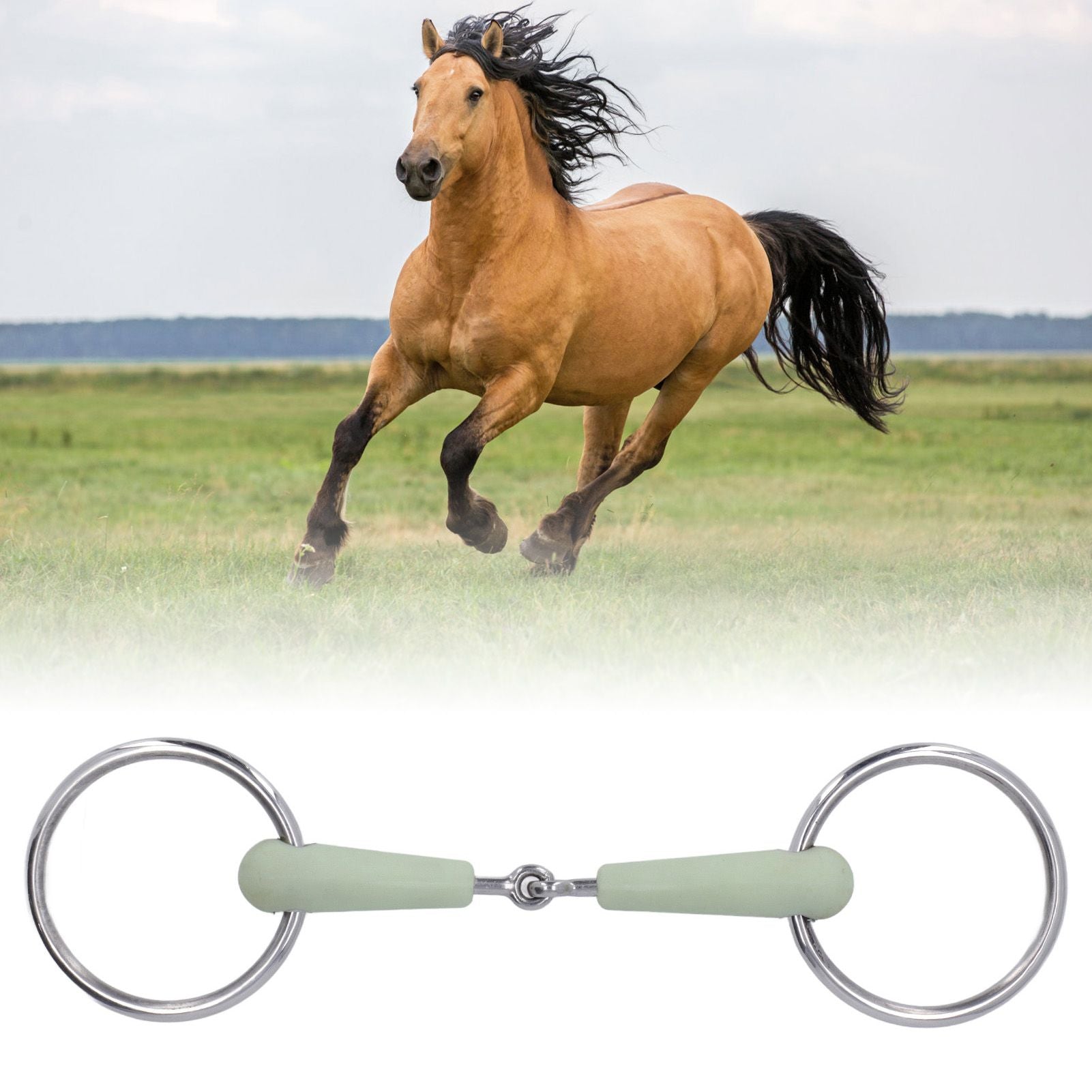 130mm Horse Mouth Snaffle with Chain Stainless Steel Horse Bit for Equestrian Training Equipment V1294-YM3111220273911-0421