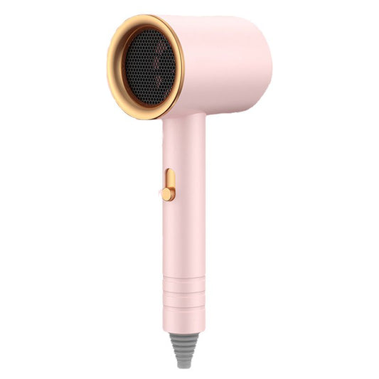 Hair Drier Mute 360 Degree Rotatable Nozzle Fast Drying ABS PP Portable Blow Dryer for Home Salon Rose avec V1294-YM3113220245913-0421