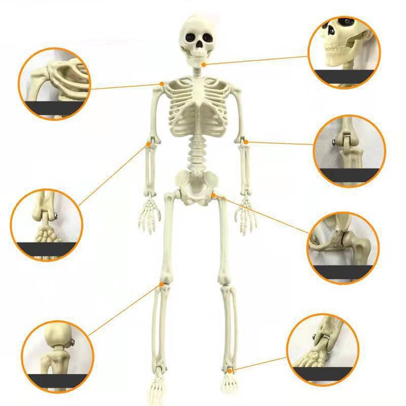 Halloween Skull Skeleton Decoration Simulated Human Plastic Bones Haunted House Decorative Skeleton Props V1294-YM3115220102111-0421